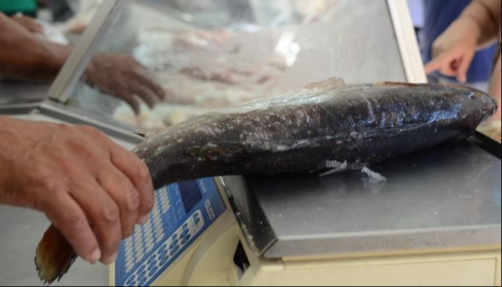 Tradicional opção para os adeptos ao período de abstinência da carne, peixe apresenta aumento no consumo (Foto/Arquivo JM)