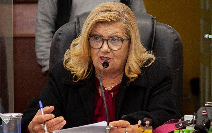 Vereadora Denise defendeu os projetos que visam proibir o uso de instrumentos que maltratam animais na hora do adestramento&nbsp; (Foto/Divulgação)