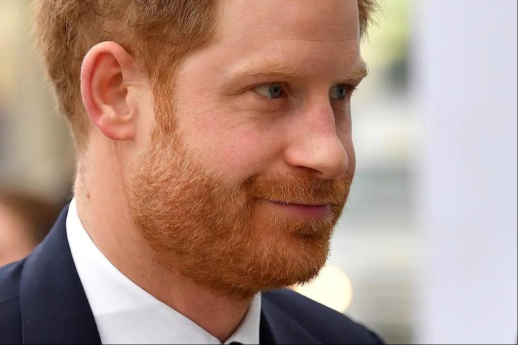 Príncipe Harry faz revelações impactantes em livro "Spare"  (Foto/Ben STANSALL/AFP)
