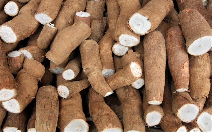 Furto de balde com 30 quilos de mandioca ocorreu no bairro Estados Unidos  (Foto/Banco de Imagens)