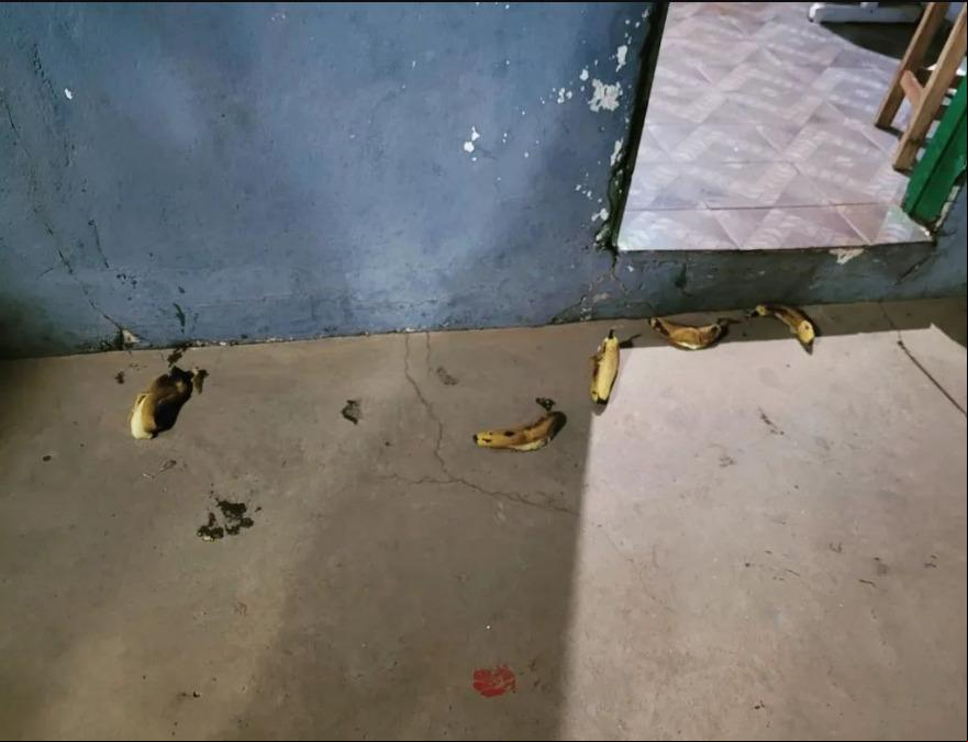 Capoeiristas foram surpreendidos durante um ensaio para uma peça teatral, quando bananas foram jogadas em crianças que participavam do ensaio. (Foto/Reprodução)