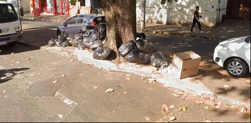 Exemplo de raiz sobre o concreto na avenida Getúlio Guaritá (Foto/Google Maps)