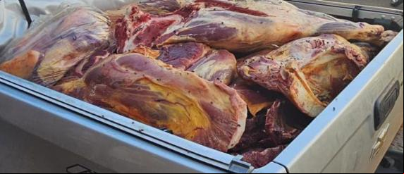 Carne imprópria para consumo foi descartada no aterro sanitário (Foto/Divulgação)