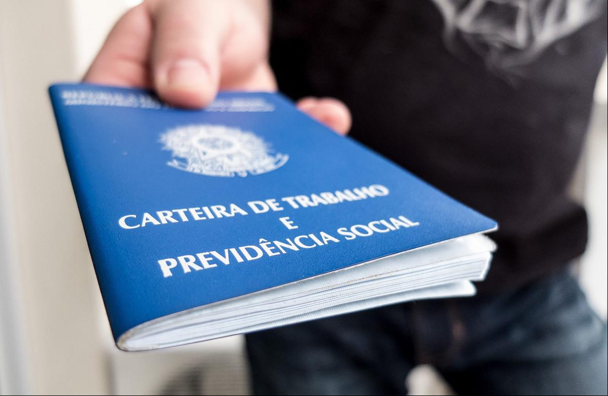  (Foto: Ilustração)