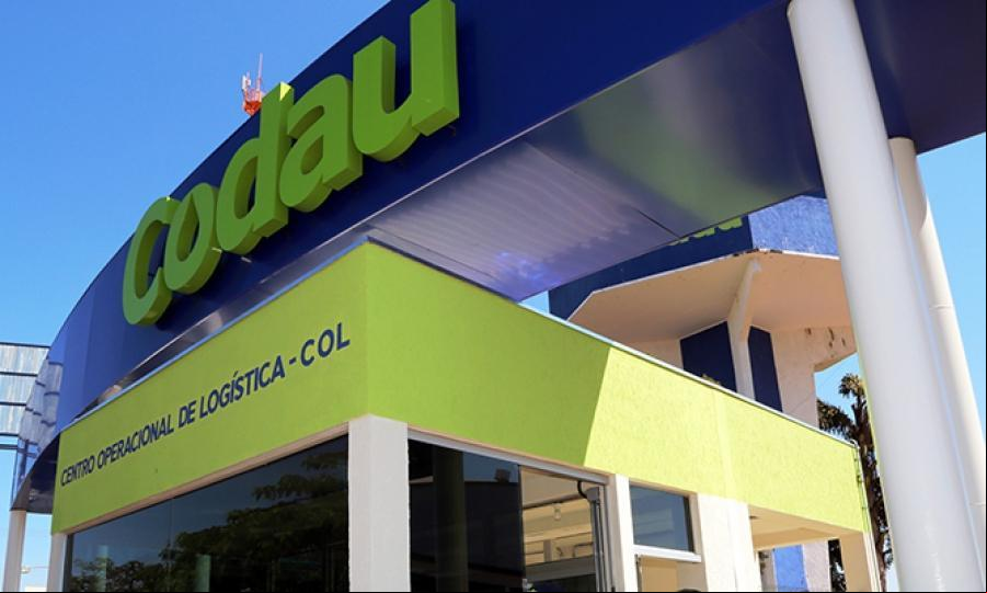  (Foto: Divulgação Codau)