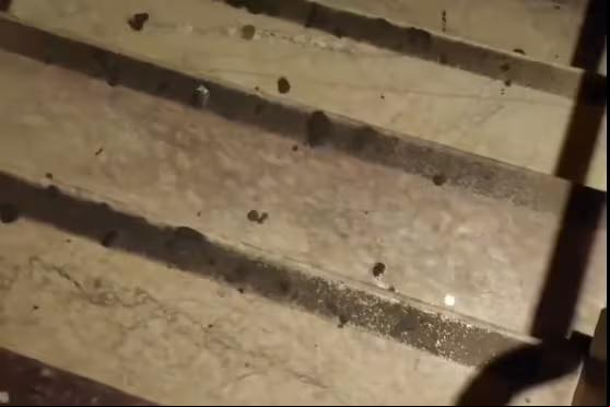 A descoberta foi na Casa Sapucaí, no bairro Floresta, na região Leste da capital mineira (Foto/Reprodução/Redes sociais)