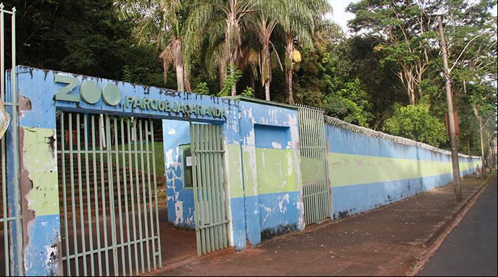 A Prefeitura afirma que a Mata do Ipê e ao Bosque Jacarandá permanecem sob os cuidados da istração municipal (Foto/Arquivo)