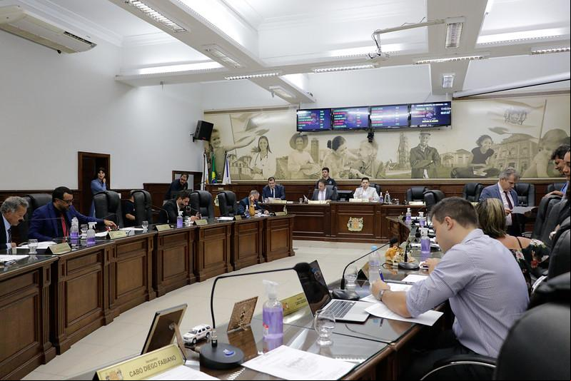 A vereadora Alessandra Dias Piagem quer debater sobre a situação do Santuário Ecológico do Zebu. Durante a quarta sessão plenária deste mês, Alessandra justificou dizendo que &#34;a discussão é de suma importância para que seja pautada a situação, visando a busca pela melhor solução especialmente para os animais que ali habitam há décadas, em vida livre&#34;. O Santuário Ecológico do Zebu era mantido pelo empresário Luiz Antônio Costa falecido em janeiro de 2022. (Foto/Divulgação)