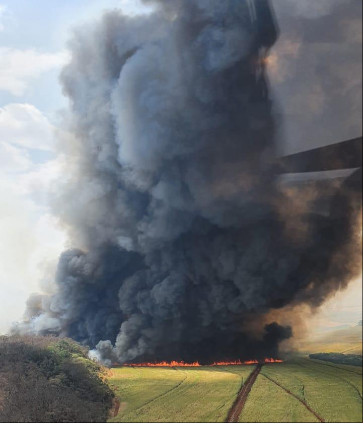 Incêndio na zona rural de Uberaba (Foto/Reprodução)