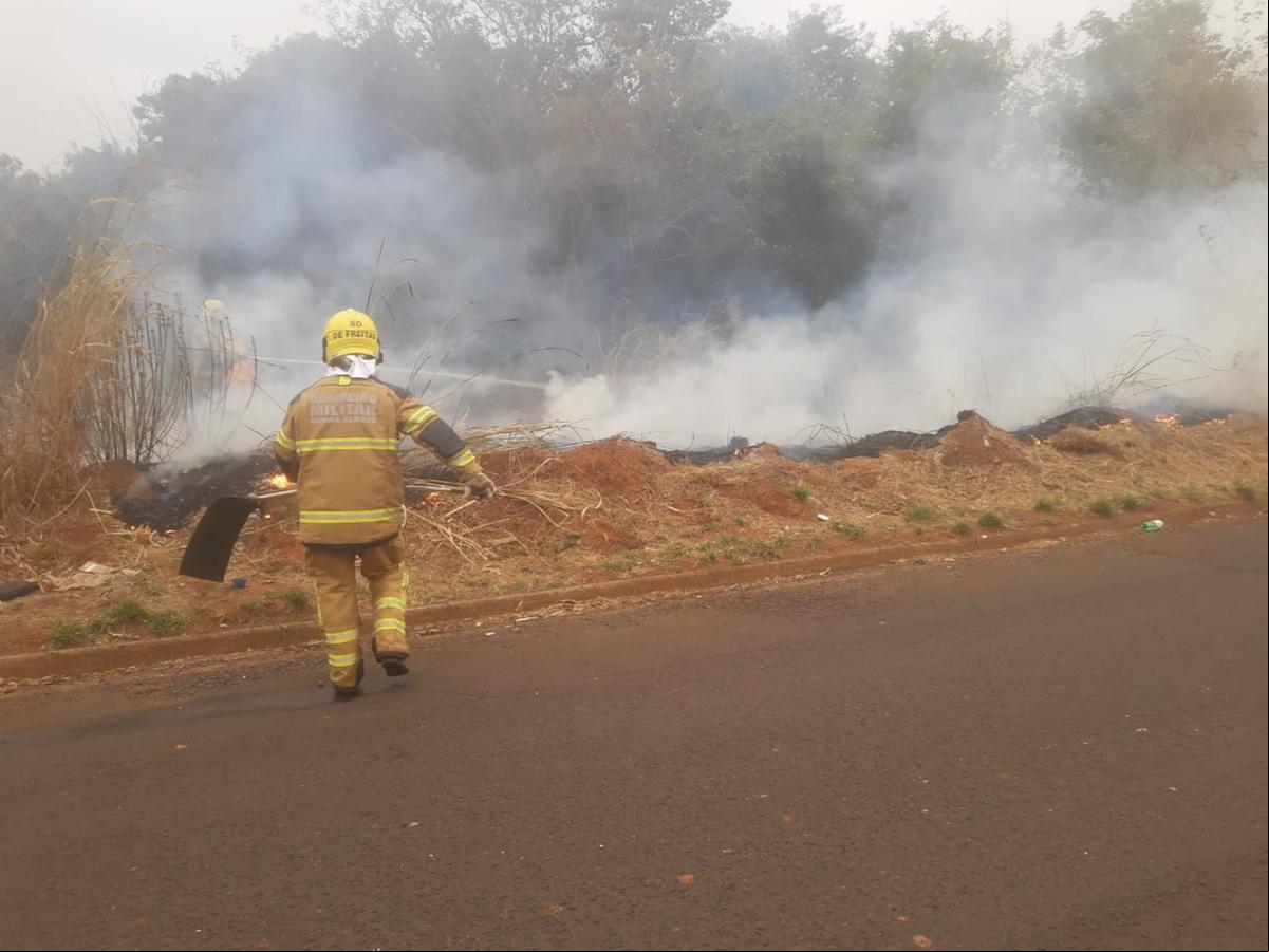200 hectares de pasto e vegetação foram destruídos pelas chamas (Foto/Divulgação)