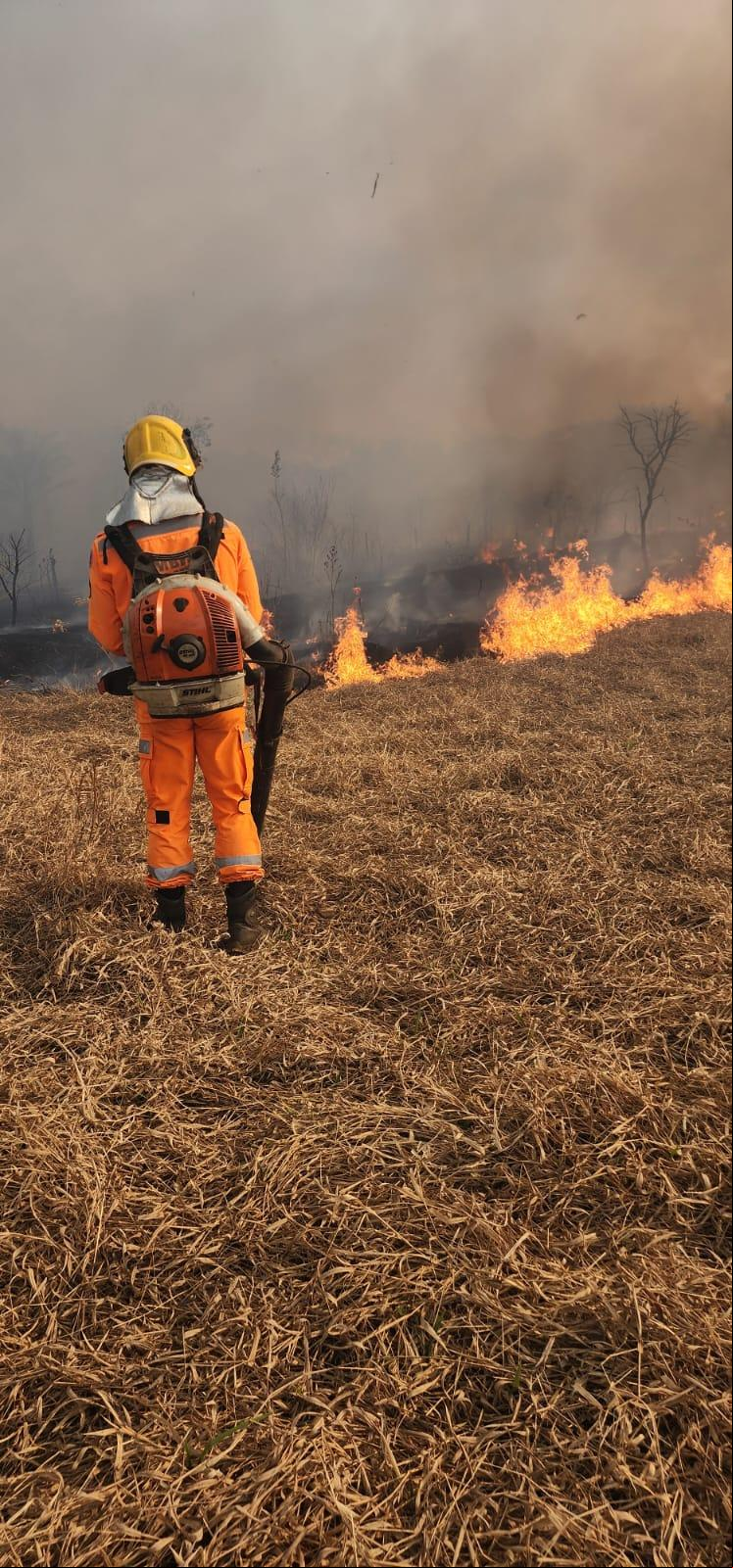 Além da equipe dos Bombeiros e do caminhão-pipa da Usina Delta, dois brigadistas também participaram das ações de contenção (Foto/Divulgação)
