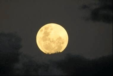 A primeira superlua de 2024 ocorreu em 19 de agosto, quando estava a aproximadamente 361.900 quilômetros da Terra. (Foto/Manoel Freitas/Divulgação)