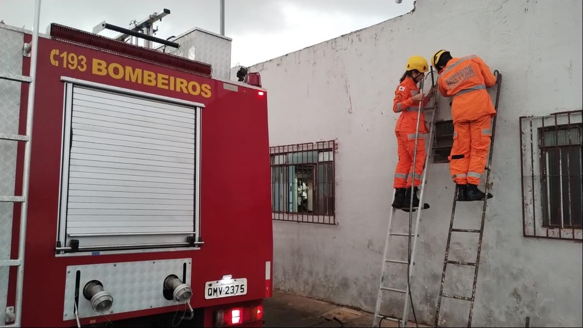 Local em que o filhote estava preso era de difícil o (Foto/Divulgação)