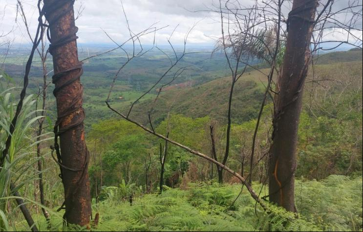 Uma equipe dos bombeiros de Campos Altos e outra guarnição de Araxá se deslocaram até o local e iniciaram uma operação de buscas terrestres (Foto/Corpo de Bombeiros/Divulgação)