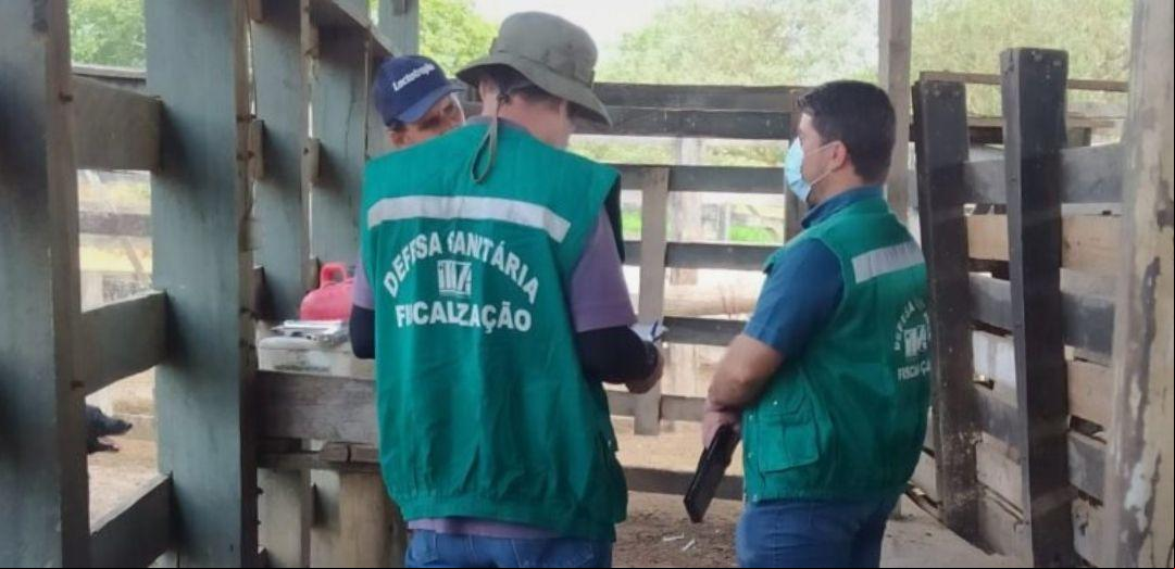 A inauguração ocorrerá no dia 26 de novembro, às 10h, e contará com a presença do secretário de Agricultura, Pecuária e Abastecimento de Minas Gerais (Foto/Reprodução)