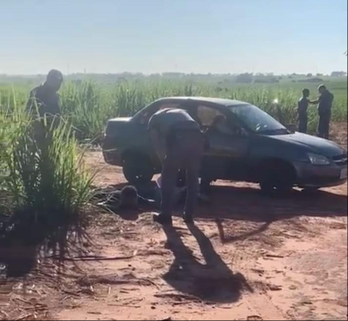 Polícia Militar em Guarani d’Oeste (SP) prendeu em flagrante uberabenses que tentavam furtar gado (Foto/Divulgação)