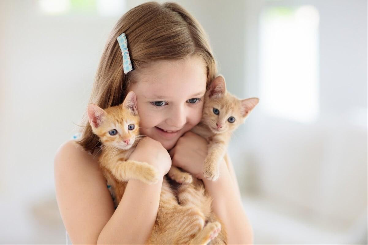  (Foto: Imagem: FamVeld | Shutterstock)