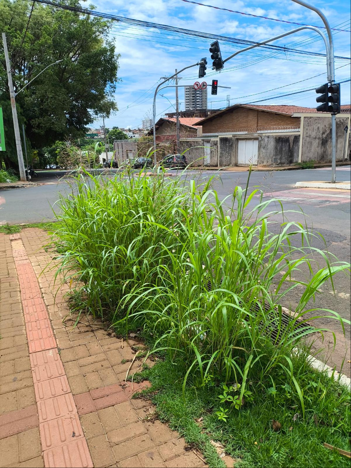 A Codau afirma que o local receberá o serviço ainda nesta sexta-feira (6) (Foto/Divulgação)