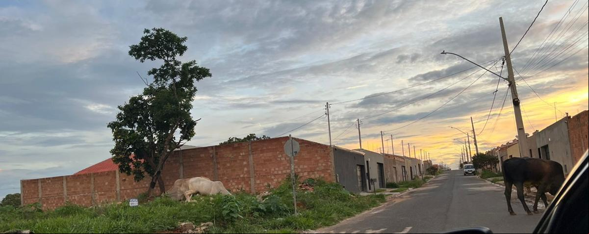  (Foto/Divulgação)