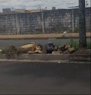 Reclamante enviou imagens ao JM, comprovando o descarte irregular no local. (Foto/Divulgação)