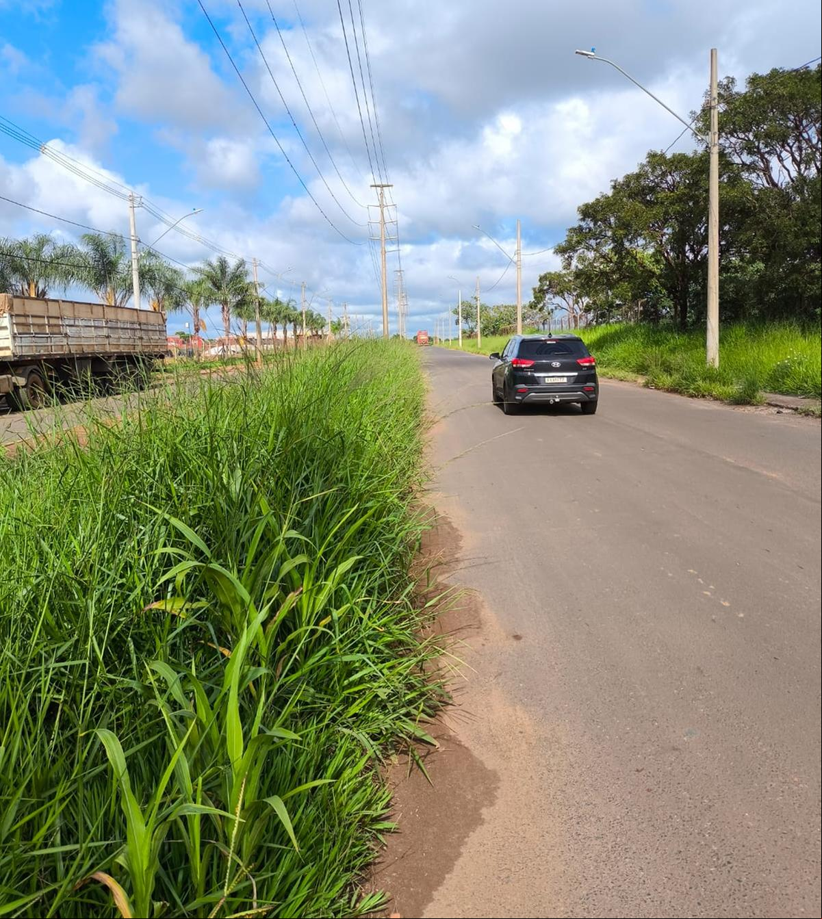 Mato alto atrapalha a visibilidade dos motoristas na pista (Foto/JM)