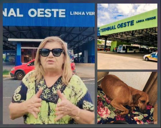 (Fotos/Reprodução/Instagram)
