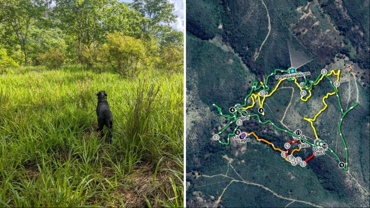 Idoso está perdido em extensa área de mata com rios, pastos e trilhas (Foto: CBMMG / Divulgação)