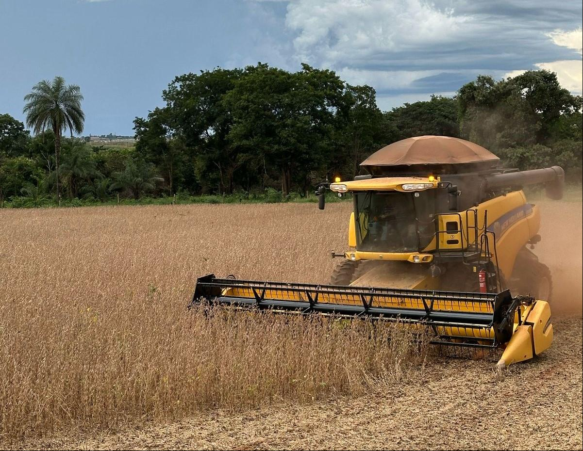 Produtores aproveitaram a estiagem do fim de fevereiro e início de março para agilizarem a colheita das lavouras (Foto/Divulgação)