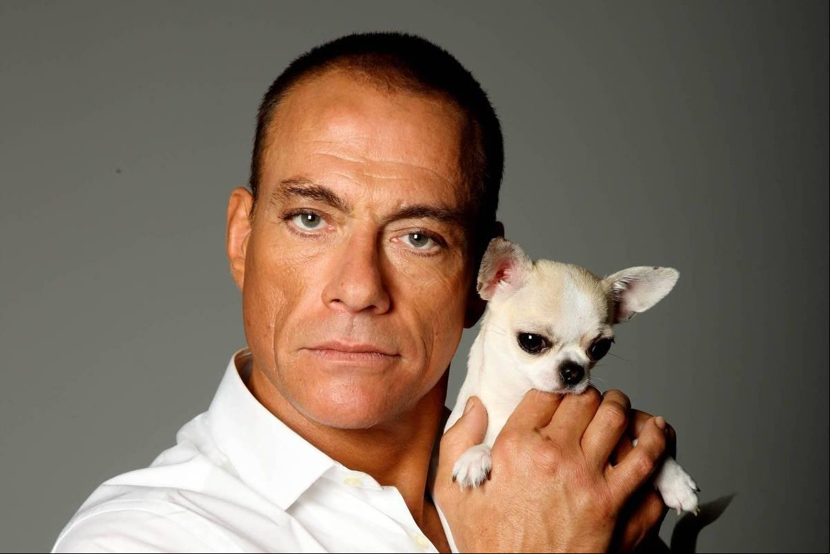 Segundo a acusação, Van Damme teria se envolvido conscientemente com mulheres traficadas por uma equipe criminosa (Foto/Divulgação)