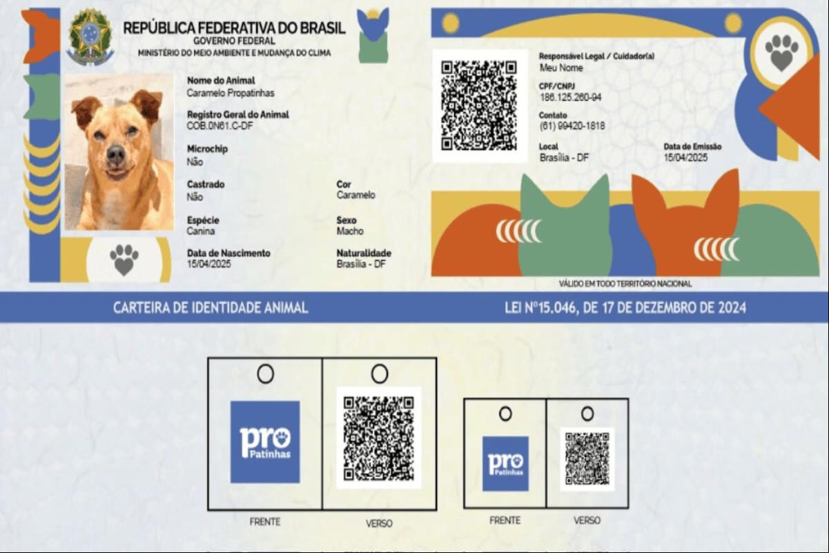 O RG Animal facilita a identificação de cães e gatos (Foto/Planalto/Divulgação)
