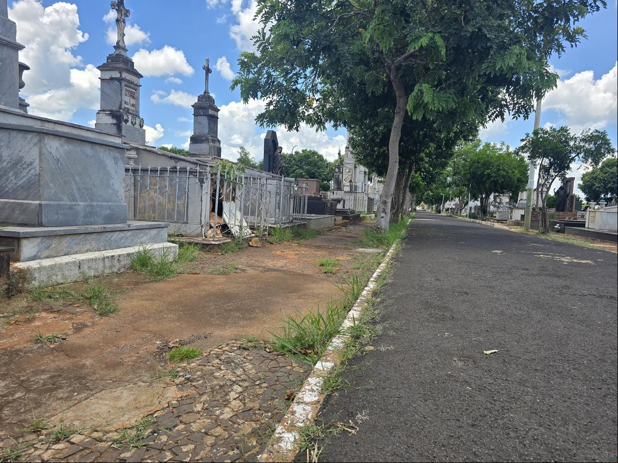  (FotoLuiz Gustavo Rezende)
