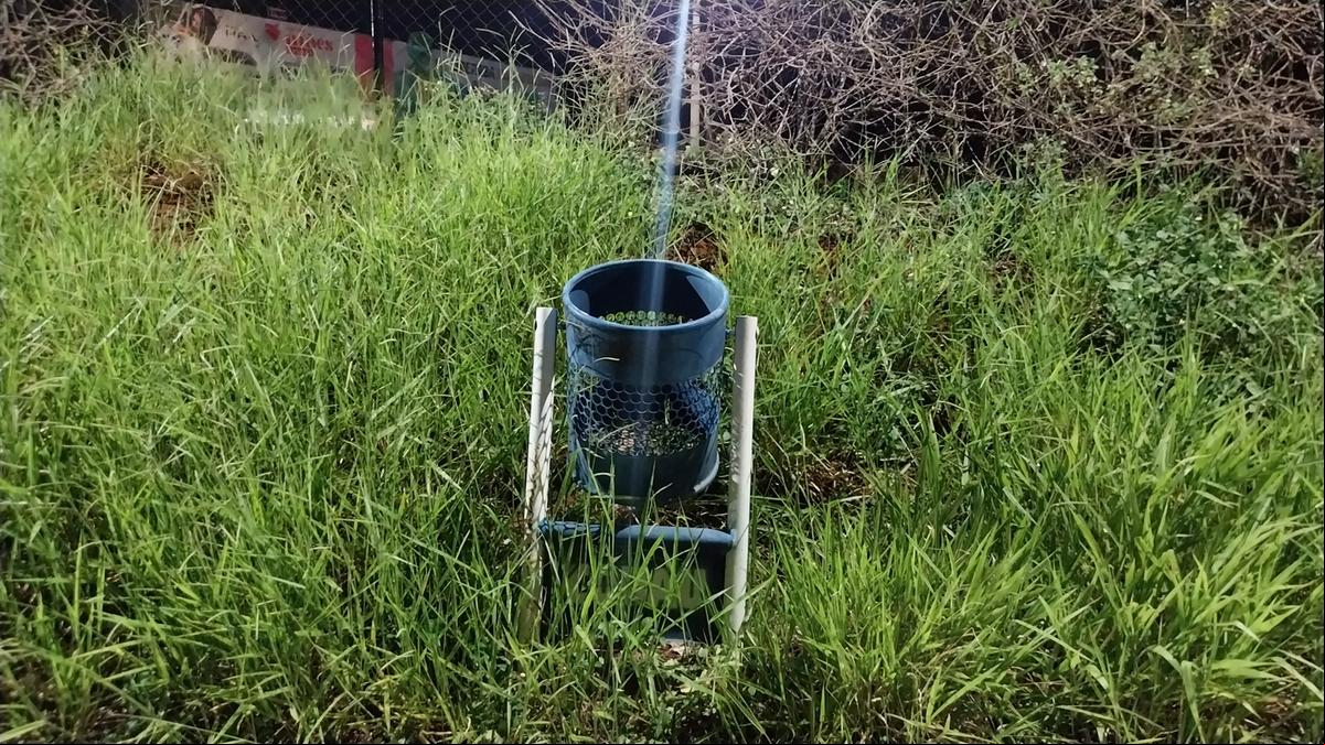 Questionada, a Codau informou que equipes de limpeza urbana já estão realizando os serviços de roçada e capina no local (Foto/Divulgação)
